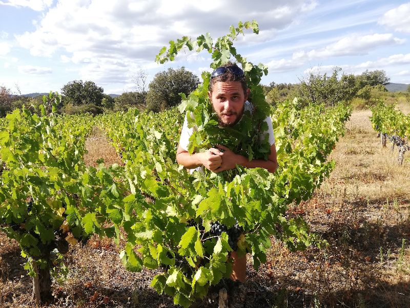 winesutb's tweet photo. Introducing Alexandre Durand - https://t.co/p6pjKFg3vP https://t.co/SuvHtXUeRT