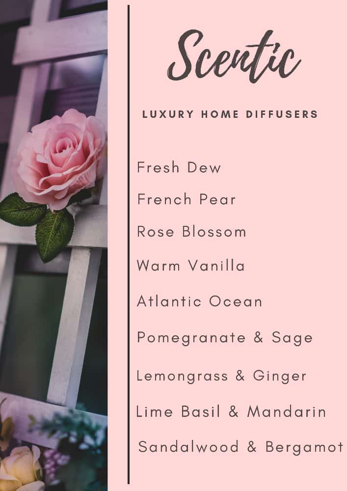 Wolf_Luna28's tweet photo. Hey guys its festive season 

Lets get you and ur home smelling Scentic divine 

Please your order for home diffuser and perfumes we deliver nation wide with pep pexi or Post net. 

30ml for R120 
50ml for R150 
Home diffusers 200ml R250

DM or WhatsApp 0683758399 https://t.co/KiKUg6tFVJ