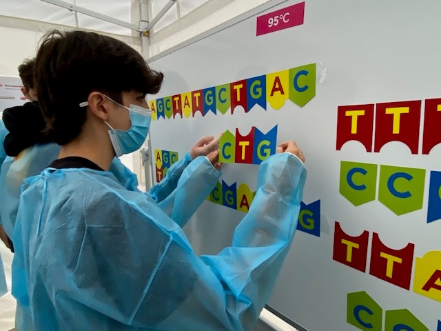 idibaps's tweet photo. Primer dia del Generació Ciència, els tallers sobre COVID-19 per a estudiants que fem a l'IDIBAPS:

La ciència hi ha darrere una PCR, un scape room sobre mostres biològiques i visita al biobanc. Demà, més! #SC21CAT #setmanadelaciencia https://t.co/i2PFIvUygG