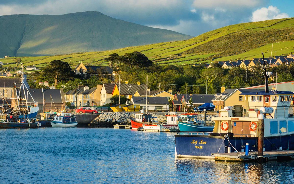 Ireland Today tweet media