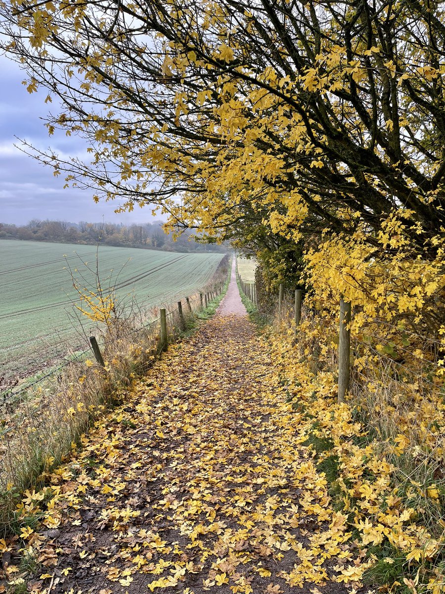 Just love this place!
#Autumnvibes #autumnleaves #overtonhampshire #hampshire #autumninhampshire
