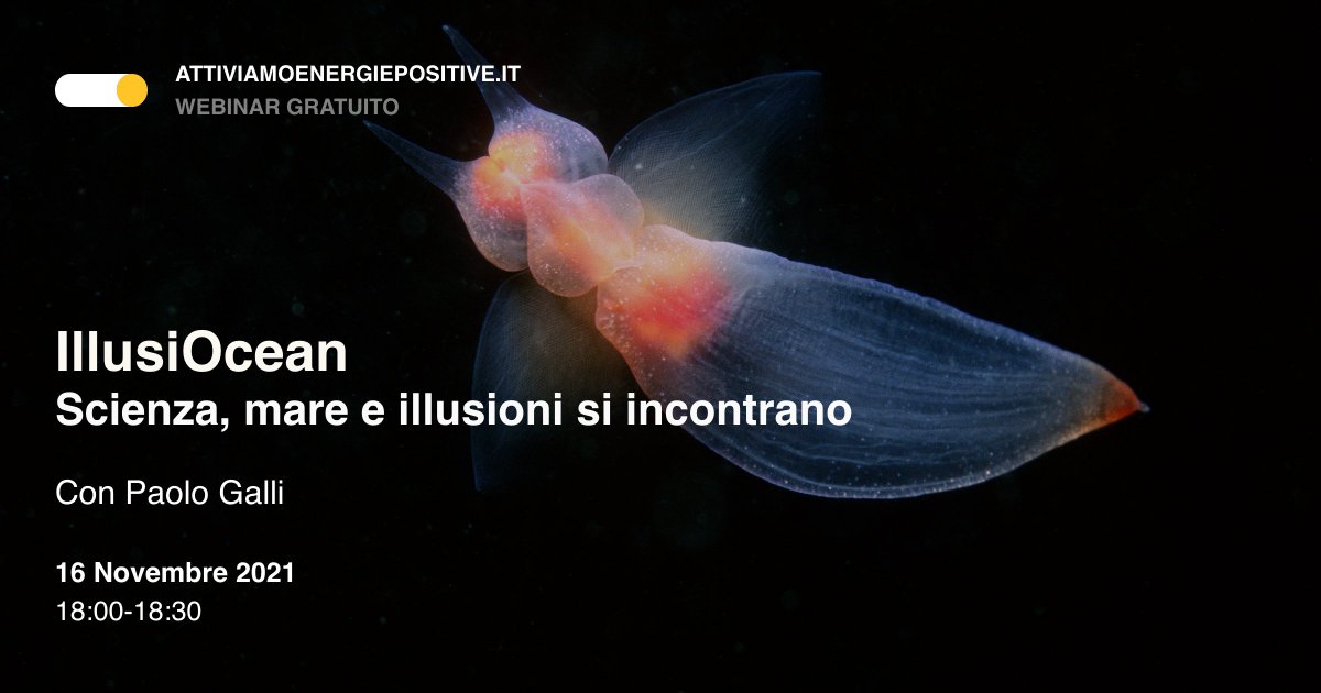 betapdb's tweet photo. Alle 18.00 parleremo della mostra che sta conquistando i giovani studenti a #Milano con le sue #illusioni! ⏰ promemoria https://t.co/Wfdmo3BWzD
@unimib @Focus_it @ComuneMI @Mondadori @museocinema
#scienza #illusiocean #abissi #plastica #bicocca https://t.co/lingoeBloW