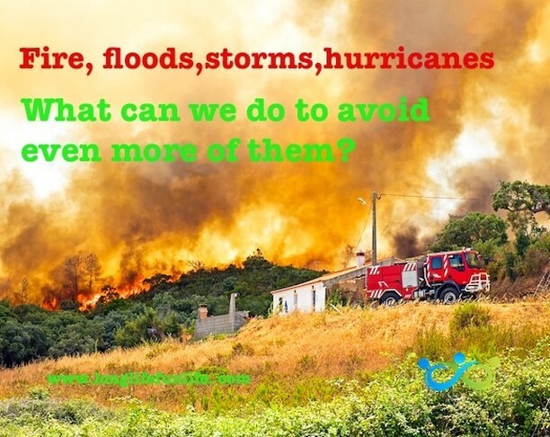 LongLifeFunLife's tweet photo. We've had all the signs of climate change.  We've had the conference COP26.  What are we doing to do about it?
#climatechange #climateaction #solutions #TakeActionNow #purpose #DoMore #makeitmorefun #feelgood https://t.co/xrYeoVFhp0 https://t.co/13XFqmeOER