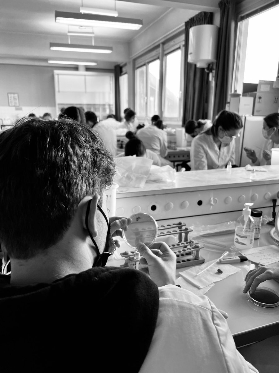 Genevieve_Hery's tweet photo. 🔬🧫🦠 L’observation, c’est un des piliers du diagnostic bactériologique. On s’y exerce en TP #BacterioMed #DFGSM3 @UBO_UnivBrest. Déjà de belles photos dans les portables des étudiants qui mettent un Gram sur les espèces bactériennes aux noms parfois si compliqués ! https://t.co/3lnoumcRCu