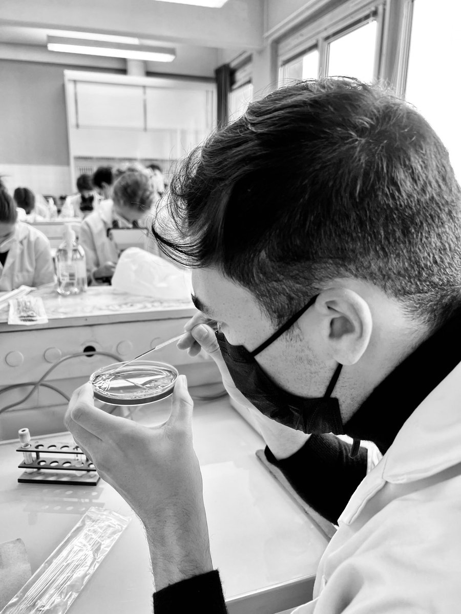 Genevieve_Hery's tweet photo. 🔬🧫🦠 L’observation, c’est un des piliers du diagnostic bactériologique. On s’y exerce en TP #BacterioMed #DFGSM3 @UBO_UnivBrest. Déjà de belles photos dans les portables des étudiants qui mettent un Gram sur les espèces bactériennes aux noms parfois si compliqués ! https://t.co/3lnoumcRCu
