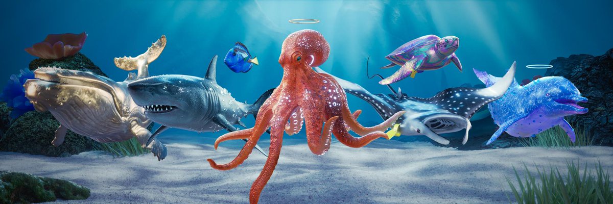Sol Aquariums tweet media