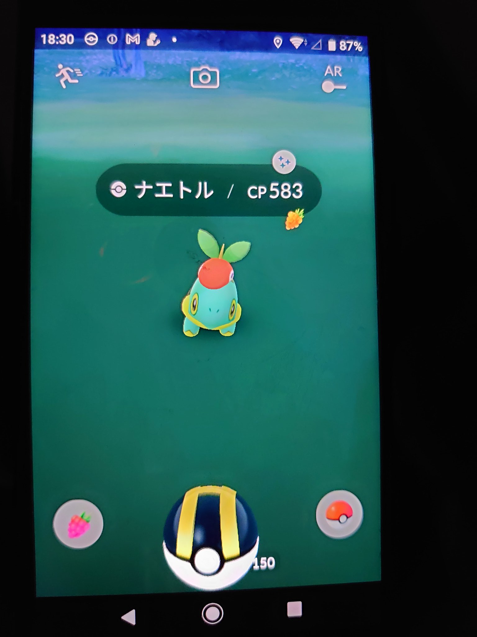 ハイアット ポケモンgo 桃鉄垢 スポットライトアワーで赤い帽子のナエトル色違い出たー サブ垢でたけどwwwもちろん本垢に移したw 何かとサブ垢 色違いに恵まれてるんだよなー ポケモンgo ポケモンgo色違い ナエトル T Co Xufyubafgi Twitter