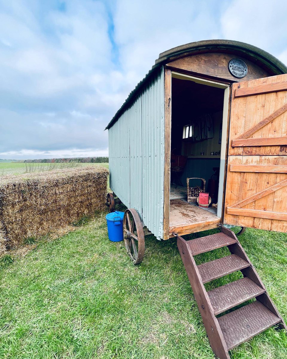 mathew_rivers's tweet photo. Haydon farm shoot https://t.co/7McN80fGhb