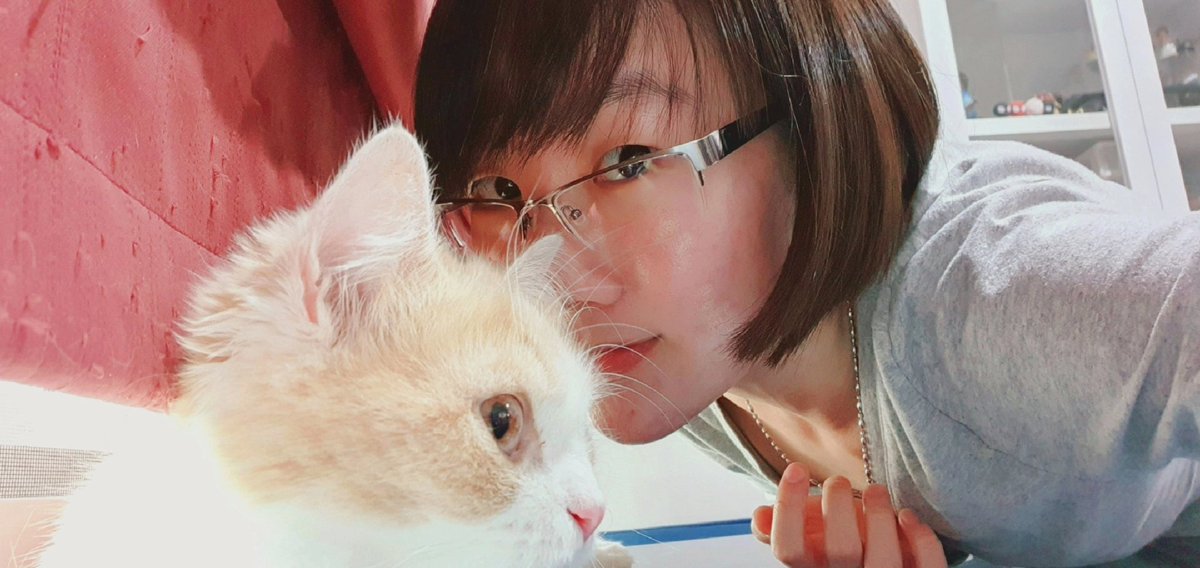 Dark_Farewell's tweet photo. NARI Day 325
16.11.2021
Tabi's IG : tabijourney91
Tabi's FB page : Tabi Journey : Tabi The Tabby Cat
#TabiJourney #TabiTheTabbyCat #TabiTabby #TabiTheOrangeTabbyCat #cat #harlequincat #creamcat #creamharlequin #beigecat https://t.co/bkKyY6p2D5