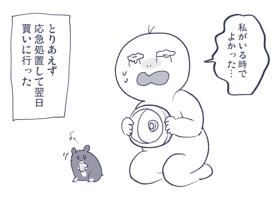 ハムスが滑車を破壊した 