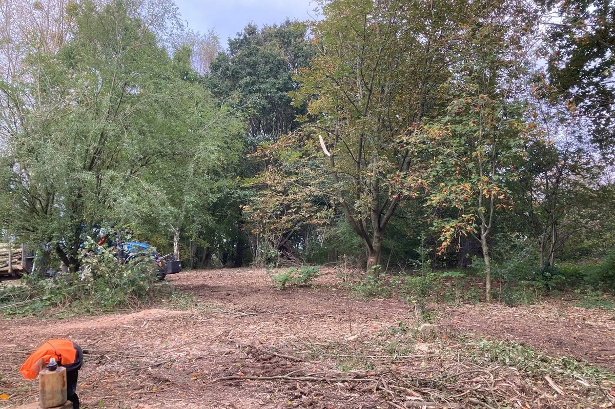 WTBridget's tweet photo. Pupils from #Easebourne Primary School near #Midhurst will plant native broadleaf trees from @WoodlandTrust next Spring, to replace dying ash trees removed from the school grounds https://t.co/kG7t9wz7aB https://t.co/jqjYggKikK