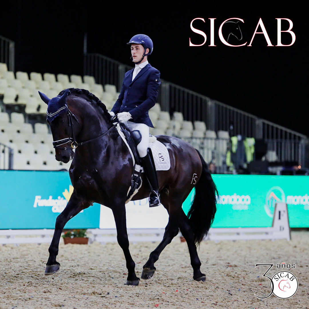 SICABOficial's tweet photo. Primer clasificado de la Copa ANCCE Doma Clásica Grupo Eulen, Preliminar 5 años, PAMPERO FS, propiedad y criado por Yeguada Arroyomonte y montado por Daniel Pérez González.
#SICABcumple30años #CaballoEspañol #CaballosPRE #PuraRazaEspañola
#Sevilla #FuncionalidadPRE #DomaClasica https://t.co/oCM8DO38eF