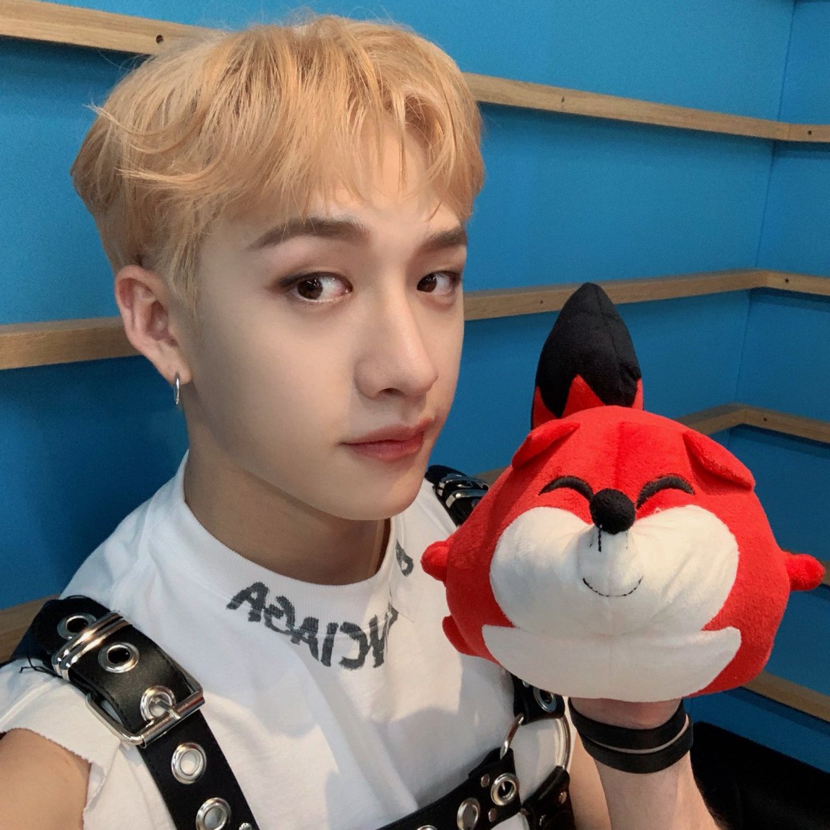 LEADERFILEZ's tweet image. ☆ foxies 🦊 

#BANGCHAN #SANGYEON