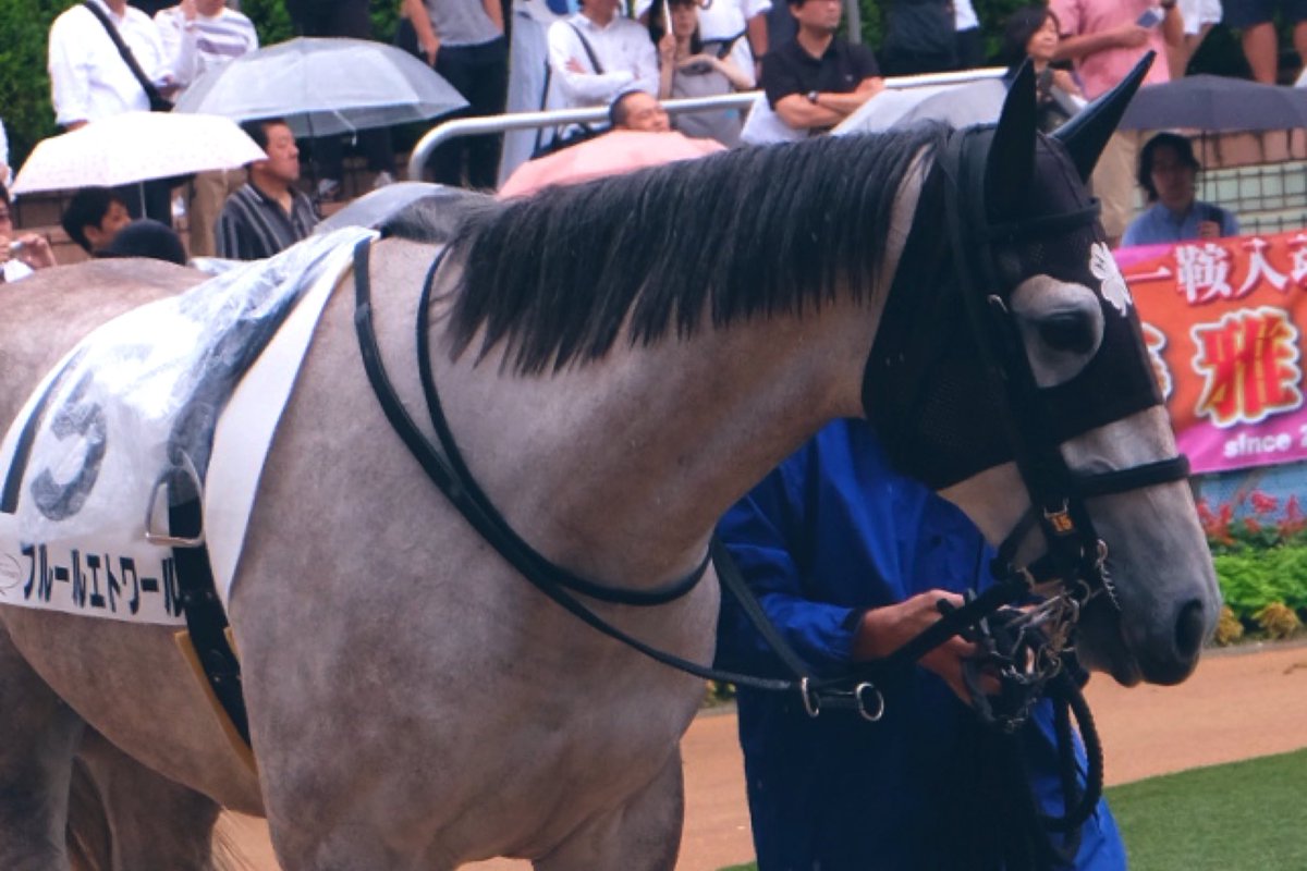 フルールエトワールどこ行ったのかな…🥺
#フルールエトワール