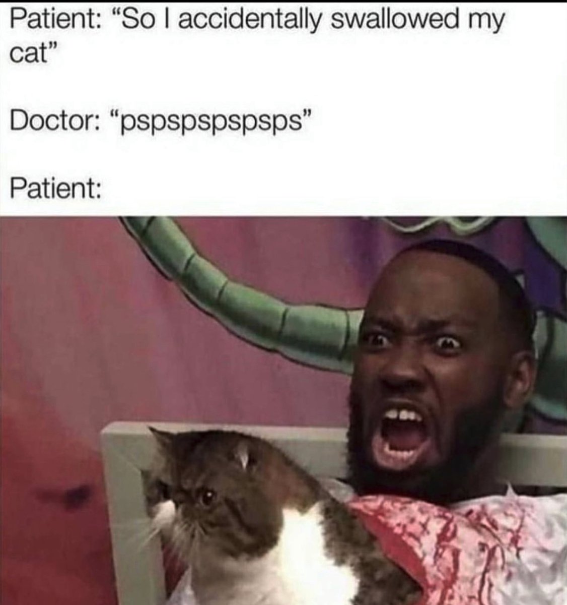 Apex_8Bit's tweet image. 