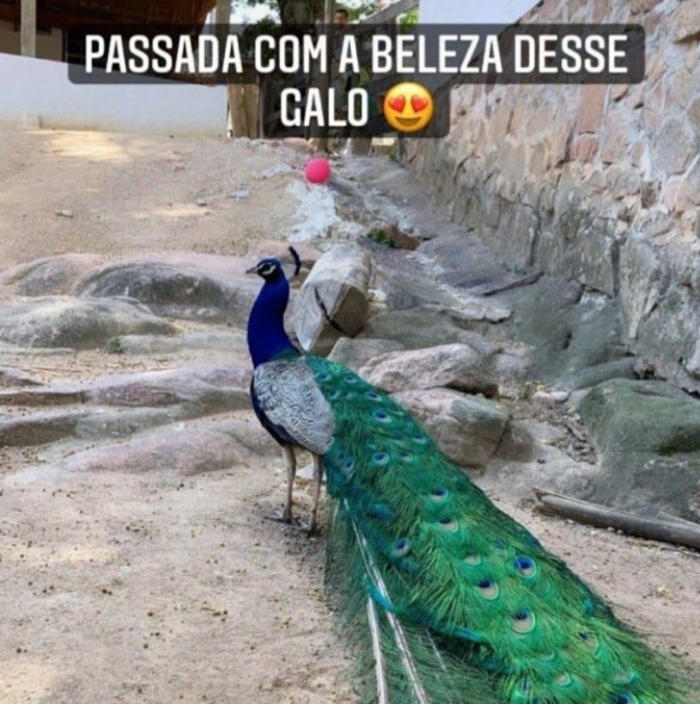 safxtynet's tweet photo. nossa fiquei muito engatilhado com um vídeo como pode uma pessoa ter tudo e ser a mesma coisa que nada, como pode eu ter tudo e jogar tudo fora aí complicado viu https://t.co/VfXoiRCdfg