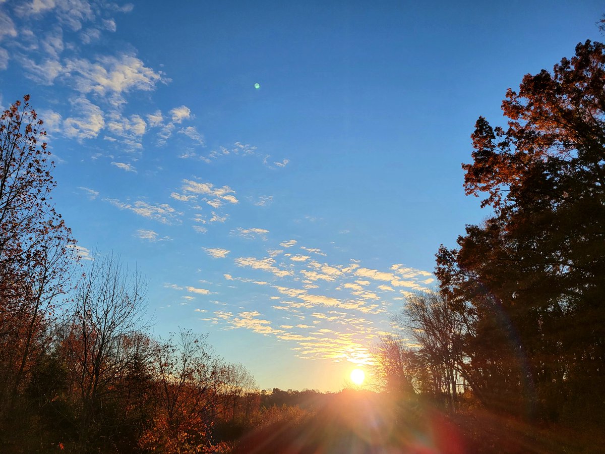 Good morning writers and lovers of stories!

It is said that a picture is worth a thousand words, and while in some cases I find that highly debatable, this morning I did not. 
#WritingCommnunity #writers #beautiful