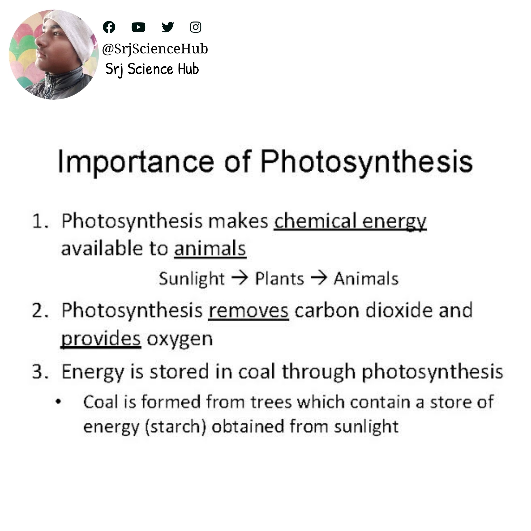 Uživatel Srj Science Hub na Twitteru: „❝ Importance of #Photosynthesis ❞ • • Follow for more @SrjScienceHub • • #srjsciencehub #science #lifeprocess #selfstudy #biology #biologystudent #biologynotes #sciencestudent #sciencenotes #sciencefacts ... Uživatel Srj Science Hub na Twitteru: „❝ Importance of #Photosynthesis ❞ • • Follow for more @SrjScienceHub • • #srjsciencehub #science #lifeprocess #selfstudy #biology #biologystudent #biologynotes #sciencestudent #sciencenotes #sciencefacts ...