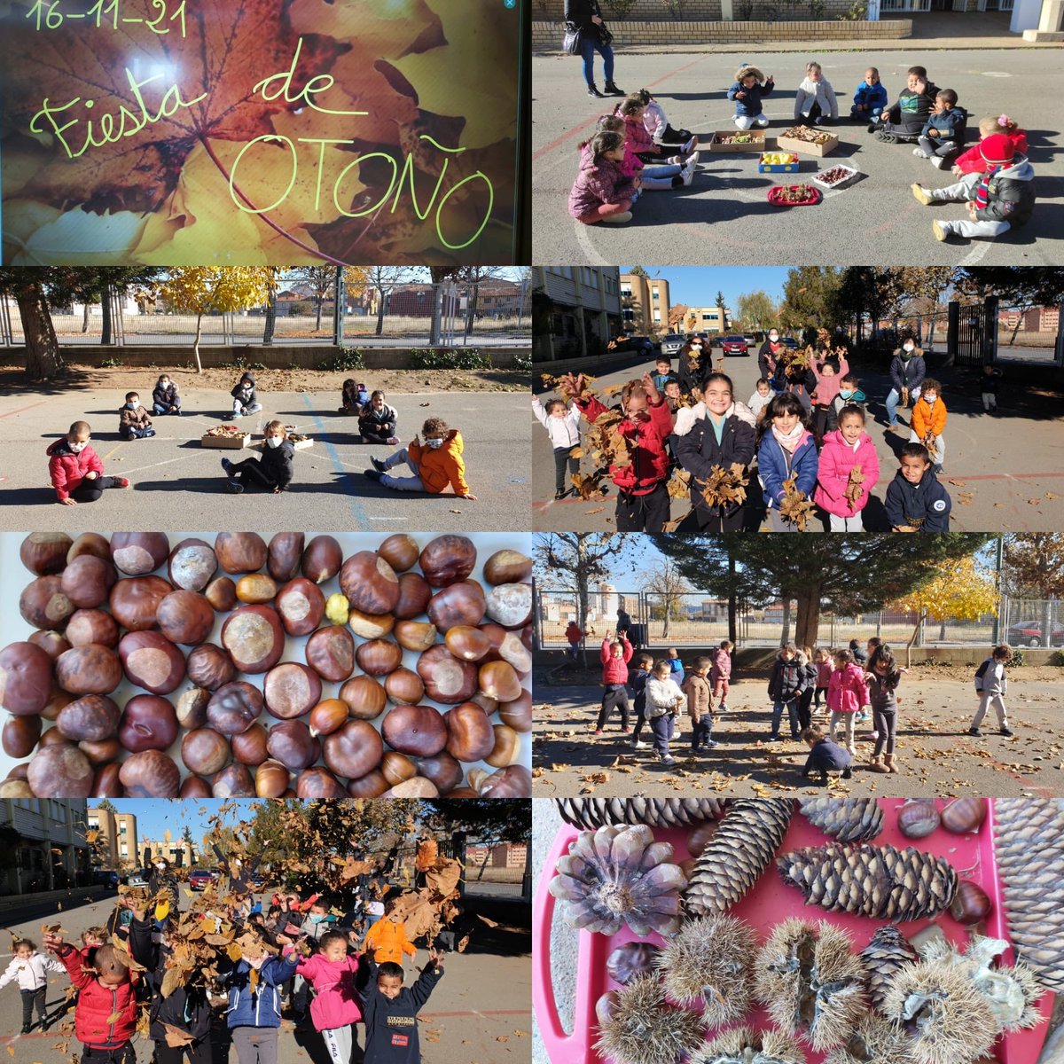 CEIPGumersindo's tweet photo. Fiesta de otoño en Infantil #aprendemosnaturaleza https://t.co/vKjkelDB8G