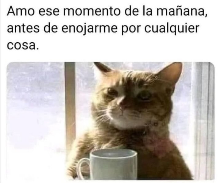 hellycrow's tweet photo. ¿Buenos días? 😴😴😴 https://t.co/H2oWgV1WPm