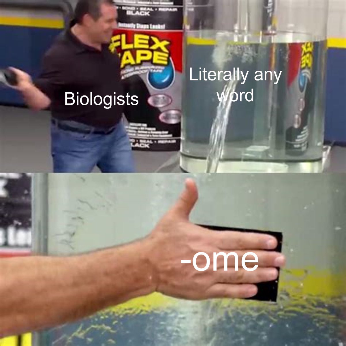 PierceinScience's tweet photo. Oh so you’re a biologist? Name all the -omes https://t.co/0NNUpYQHDd