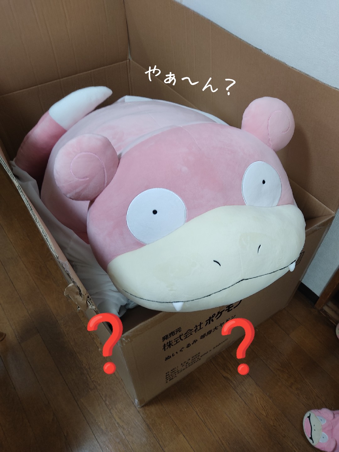 Slowpoke Love Slowpokelove Twitter