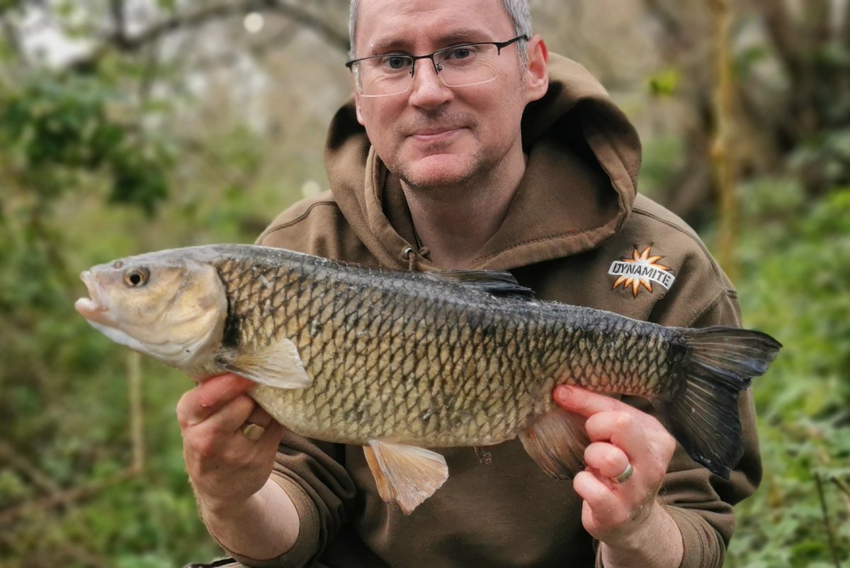 Kevin Sanders (@kevscatches) on Twitter photo I've had some fantastic chub fishing recently trotting maggots. Glugging the maggots in <a href="/dynamitebaits/">DynamiteBaits</a> liquid worm certainly gets them feeding ๐#fishing #angling #dynamitebaits #kevscatches I've had some fantastic chub fishing recently trotting maggots. Glugging the maggots in <a href="/dynamitebaits/">DynamiteBaits</a> liquid worm certainly gets them feeding ๐#fishing #angling #dynamitebaits #kevscatches