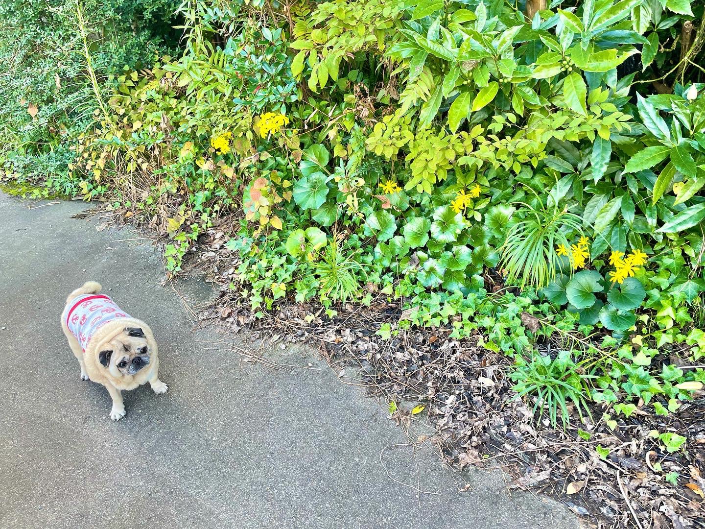 愛よ甦れ Twitter Search Twitter