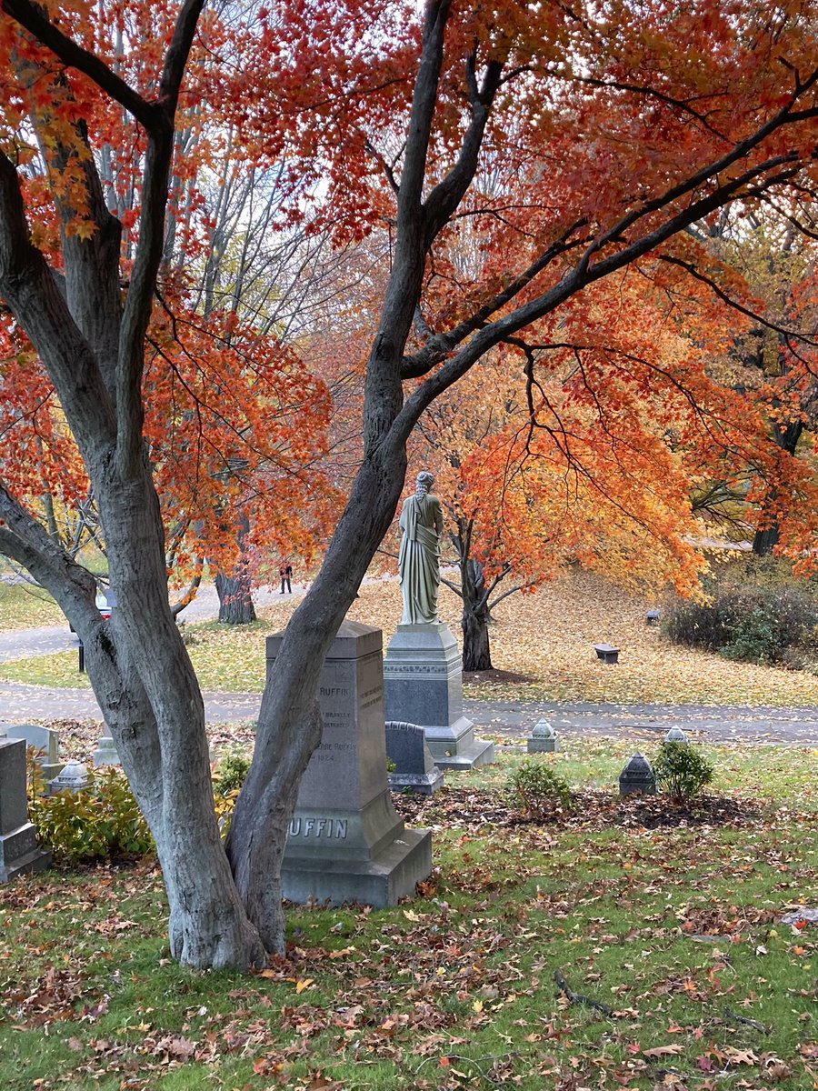 lulivelez1's tweet photo. Shades of Autumn @MountAuburnCem https://t.co/3LaL7EPCoP
