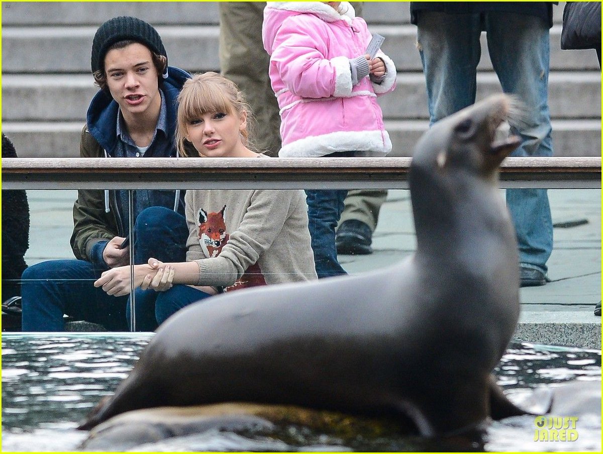 TaylorPartridge's tweet photo. ‘I don’t know whether to eat him up or wear him! Do you know what I mean though? I suppose eskimos do both!’
#TaylorSwift #TaylorSwiftRed #AlanPartridge #seals @taylorswift13 https://t.co/carcsJbVTh