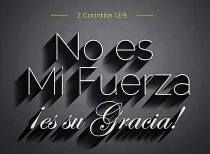 <a href="/yvisfranco/">Y v i s 🇻🇪🌹🌷💐☀️❤️</a> Buenos días mi bella y querida Yvis! Que este hermoso día que nos regaló el Señor esté lleno de bendiciones para ti! Un abrazo fuerte y cariñoso! 💯🙏🏻🔆🤗🤗😘🌷☕