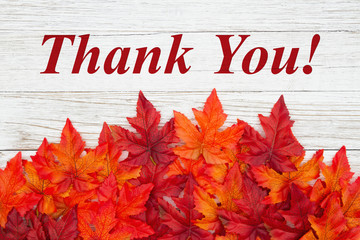 Thank you for voting! - mailchi.mp/1c88e717ddce/y…