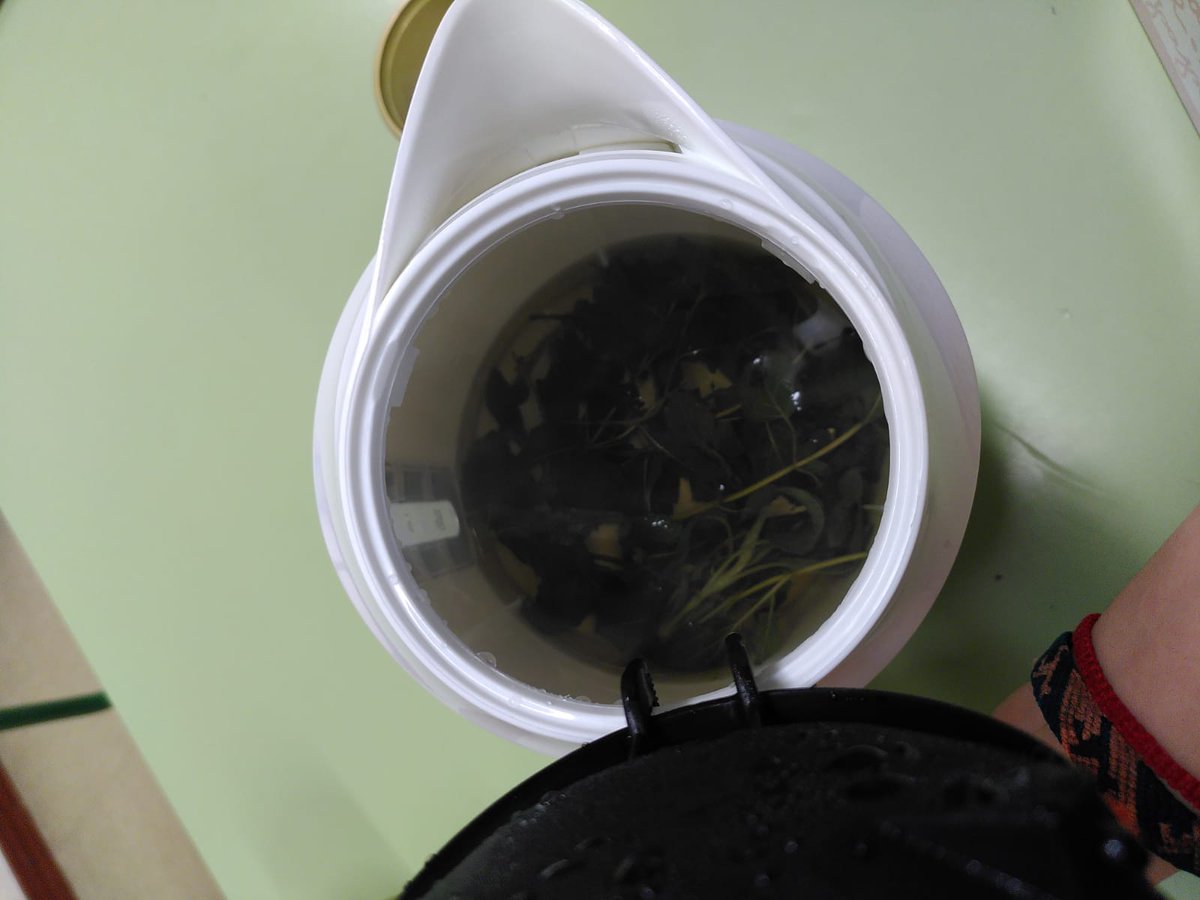 MemoriaVivaBCN's tweet photo. La setmana passada vam seguir treballant amb l'escola @CanClos en el projecte #ArxiuBiodinàmicMontjuïc, aprenent a reconèixer més plantes mentre ens preparàvem una infusió amb les recollides a la sessió anterior. Aquesta setmana farem la nostra primera sortida a la muntanya! https://t.co/9o7sPfZYlq