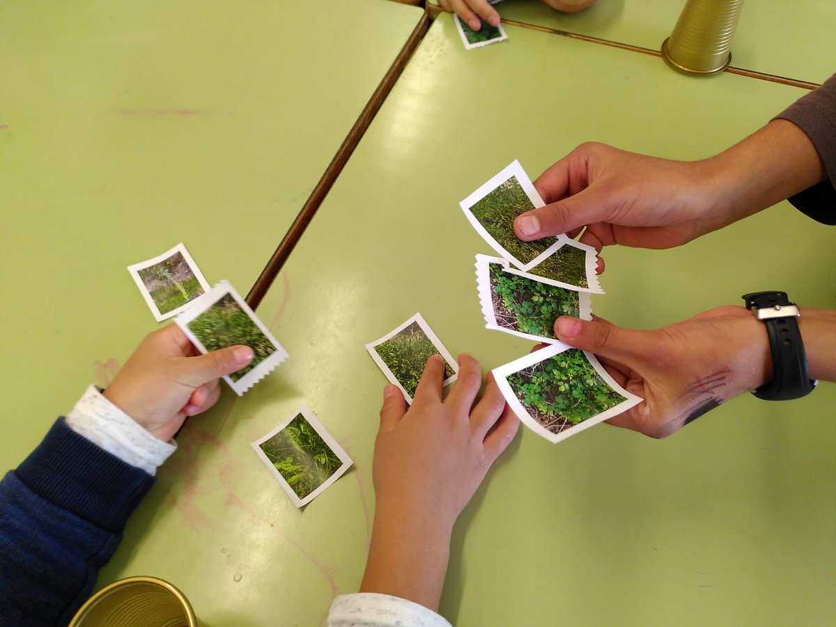 MemoriaVivaBCN's tweet photo. La setmana passada vam seguir treballant amb l'escola @CanClos en el projecte #ArxiuBiodinàmicMontjuïc, aprenent a reconèixer més plantes mentre ens preparàvem una infusió amb les recollides a la sessió anterior. Aquesta setmana farem la nostra primera sortida a la muntanya! https://t.co/9o7sPfZYlq