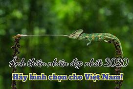 Pain is deeper than all thought; laughter is higher than all pain