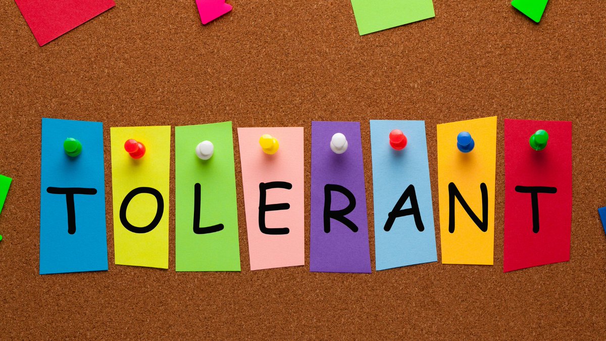 Heute ist der internationale Tag der #Toleranz. Passend dazu finden Lehrkräfte auf @DBS_20 die Dossiers "Eine Welt" sowie "Flucht, Asyl, Migration", wertvolle Linktipps und Unterrichtsmaterialien zum menschlichen Miteinander.▶️bildungsserver.de/nachricht.html…