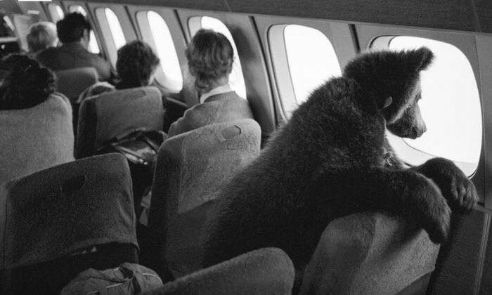 Soviet Visuals tweet media