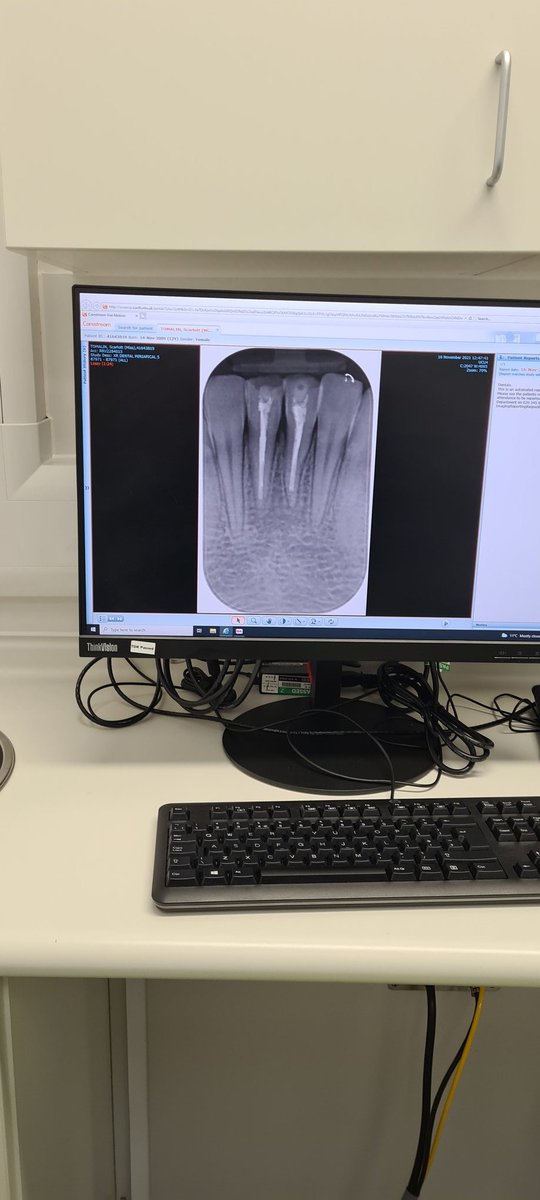 Hold up, it would seem they are now fixed.