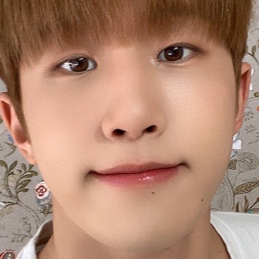 jinjinologist's tweet photo. he cute 🥰 #아스트로 #진진 https://t.co/L2P6AIciWG