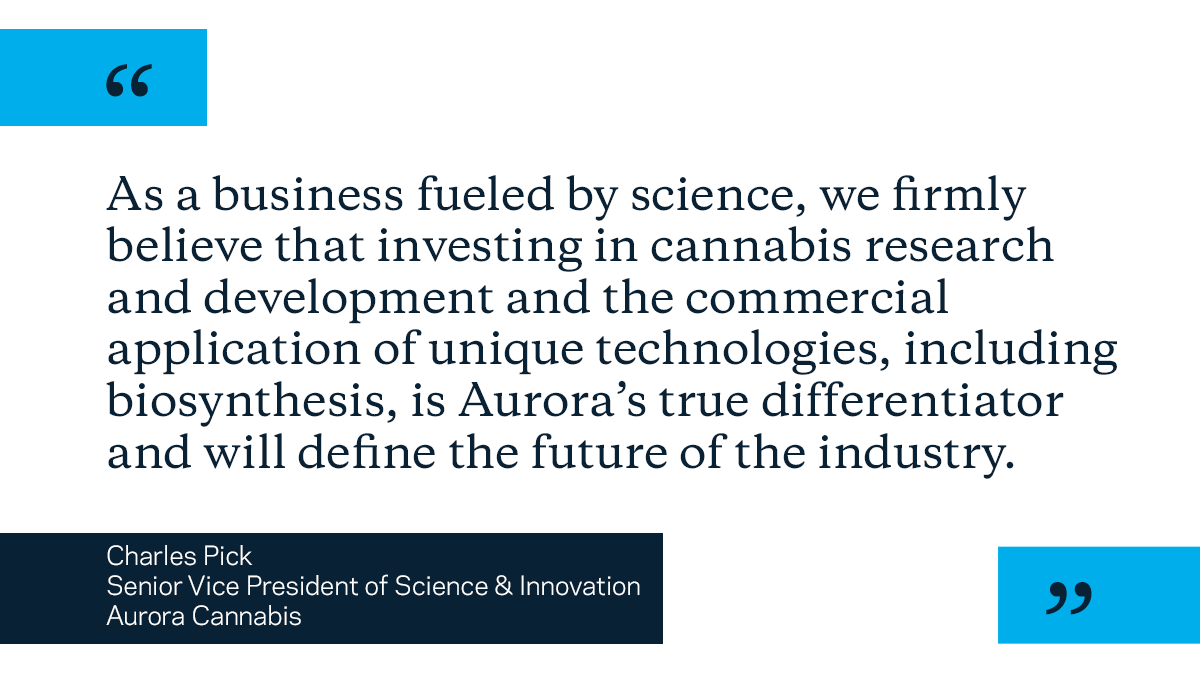 Aurora_MMJ's tweet photo. For Aurora, investing in cannabis research and development is the path forward and the future of the cannabis industry.

Occo will serve Aurora and other LPs with a strong pipeline of new plants and innovative traits that benefit both consumers and growers. $ACB https://t.co/XiN44Sd8uZ