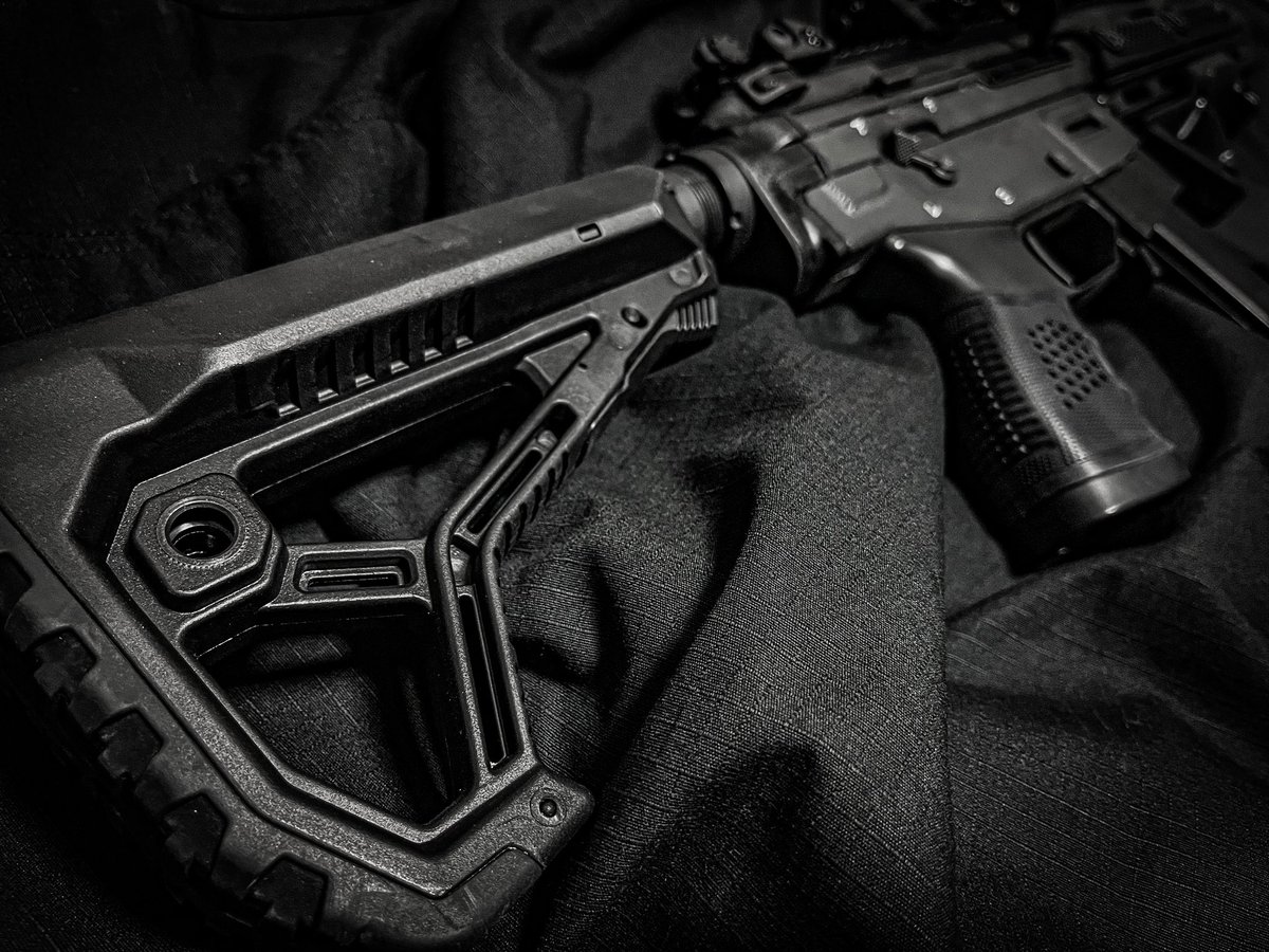 Sentinel Armory Rack SENTINEL (@JGSDFsentinel) | Twitter