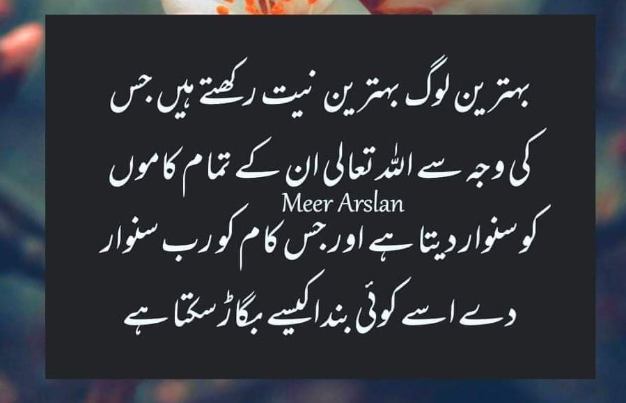 اک عام پاکستانی tweet media