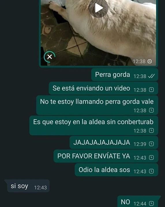 Best cut videos tweet media