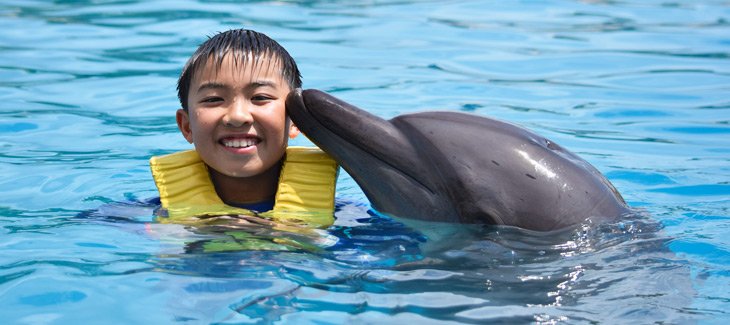 PGwandure's tweet photo. ANIMAL OF THE WEEK ~DOLPHIN 
Aquatic mammal within the infraorder Cetacea.
•Extremely intelligent animals.
•They stick with their mothers for a long time.
•They help the sick or injured members. 
•They are chatty animals. 
•They are sporty and playful
#acquatic #Dolphins https://t.co/x5voMfSKlm