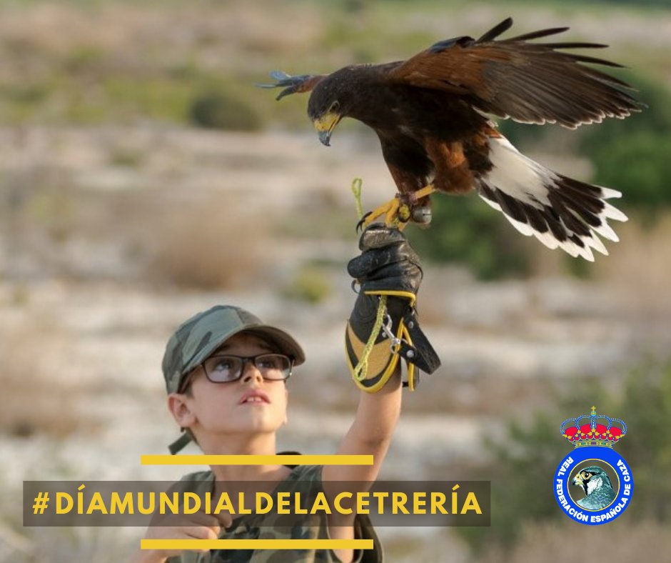 🦅 Hoy, 16 de noviembre, no podemos olvidarnos de la cetrería, un arte cinegético tradicional declarado Patrimonio Cultural Inmaterial de la Humanidad en 2010 por la <a href="/UNESCO_es/">UNESCO en español 🏛️#Educación #Ciencia #Cultura</a>.

😀 ¡Feliz #DíaMundialDeLaCetrería!