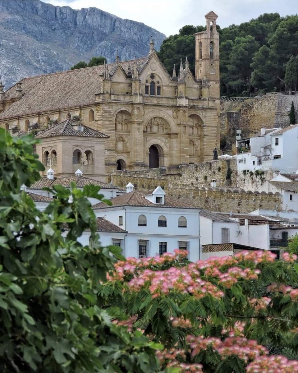 PAPELERIALAQUIN's tweet photo. " Antequera Santa " el nuevo libro de José Luis Sánchez-Garrido Reyes donde el autor descubrirá de forma brillante detalles curiosos, singulares e inéditos de la conocida < ciudad de las Iglesias >
#Antequera #Exlibric #patrimoniocultural #iglesias
📷 @escarlatillatar https://t.co/Xkmp4MMSzp