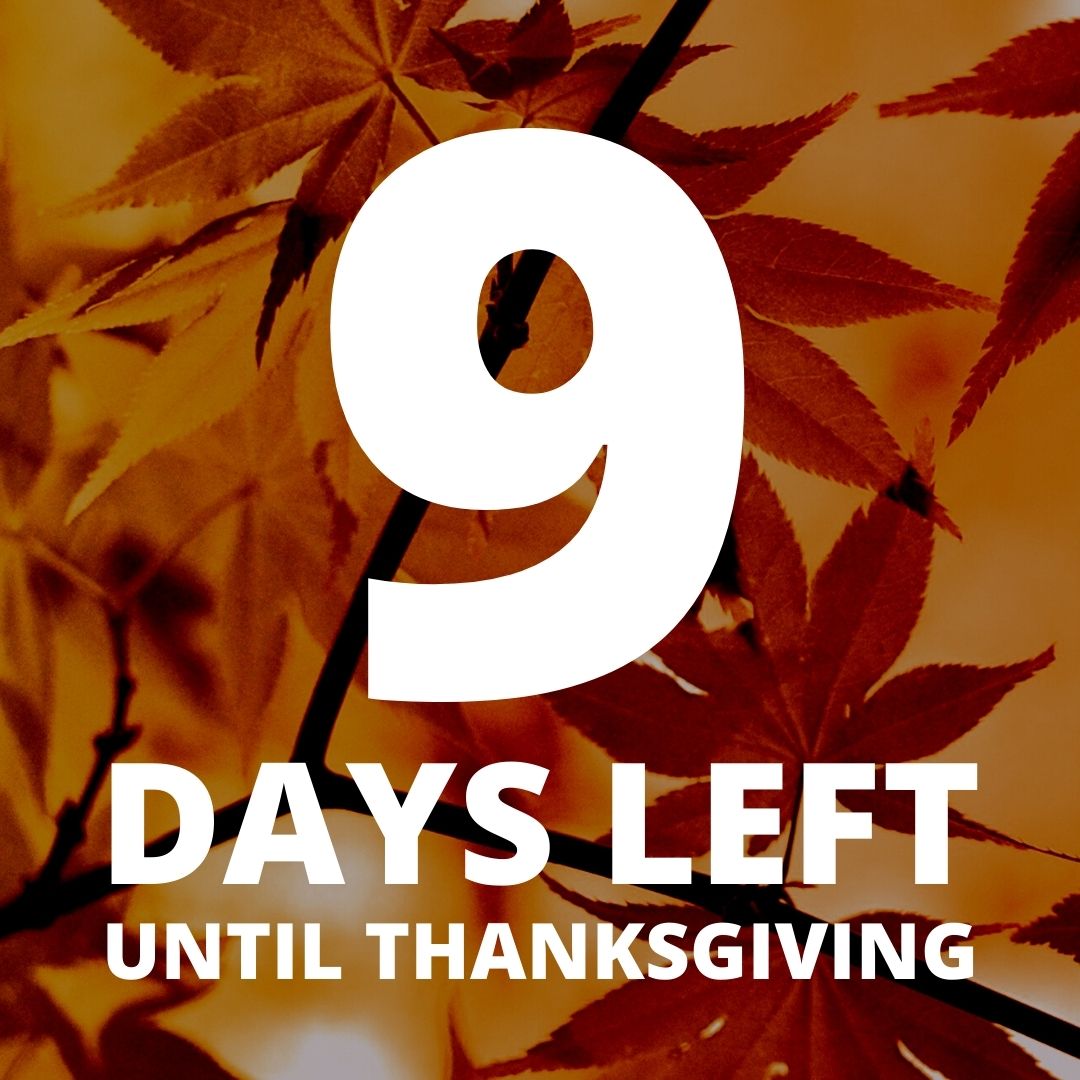 ThanksG_Aware's tweet photo. Day 9! https://t.co/eVLoLwm6AY