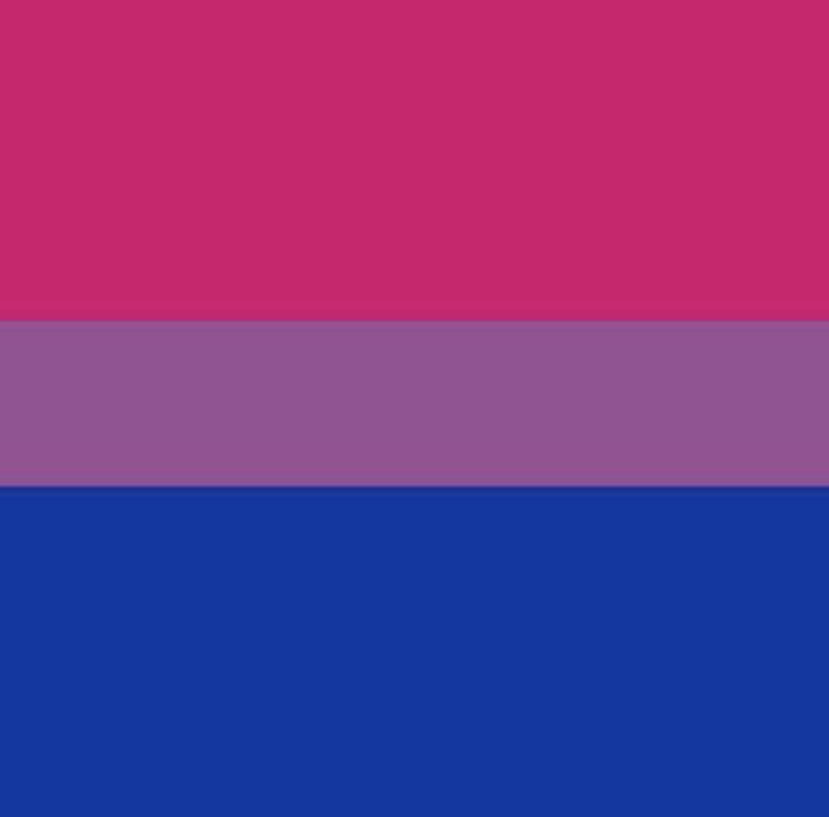 rebecca bunch from crazy ex girlfriend is bisexual