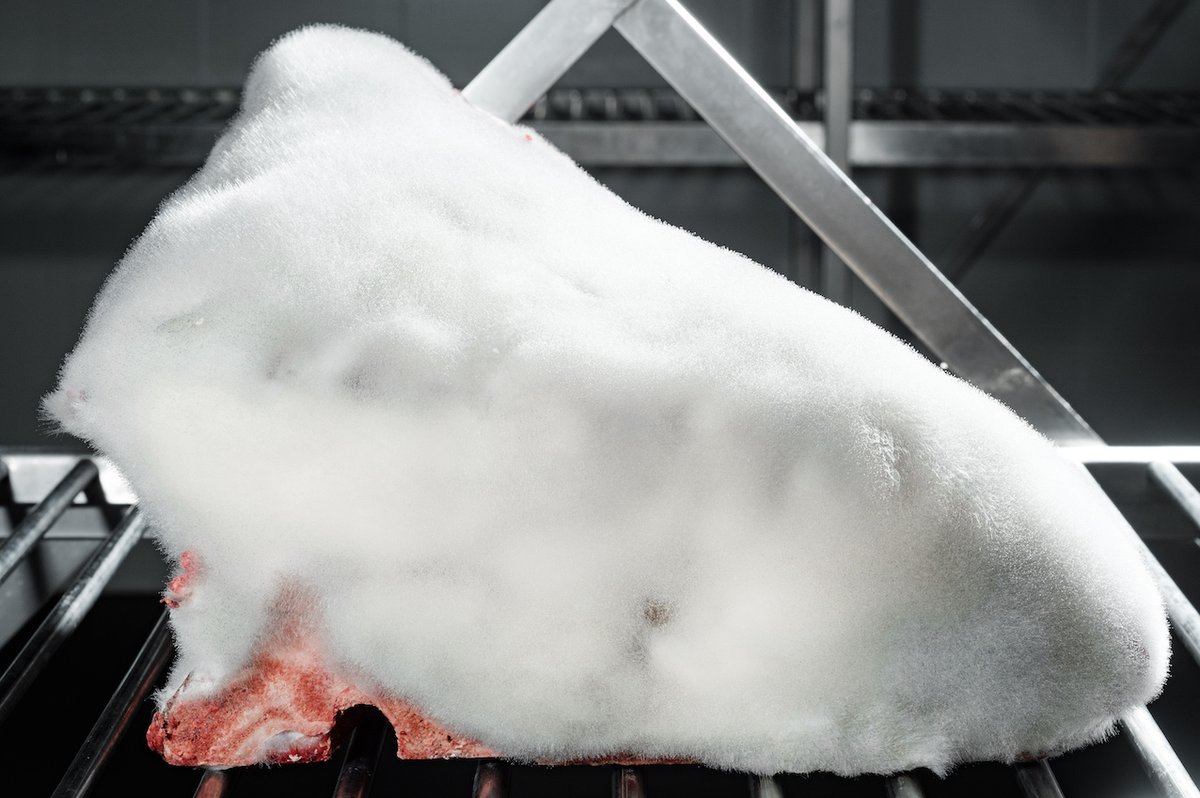 rikleonards's tweet image. Een schimmel die vlees lekkerder maakt? Jazeker! -&amp;gt; chefsfriends.nl/een-schimmel-d…. #chefsfriends 

@Nice2Meat | @svc1209