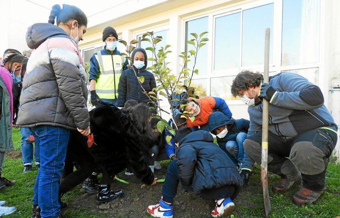 TelegVannes's tweet photo. À #Vannes, une quinzaine d’arbres fruitiers a été plantée dans la cour de l’école #Armorique à #Kercado

https://t.co/UGNSEIAEn4 https://t.co/RalMMCHhAg